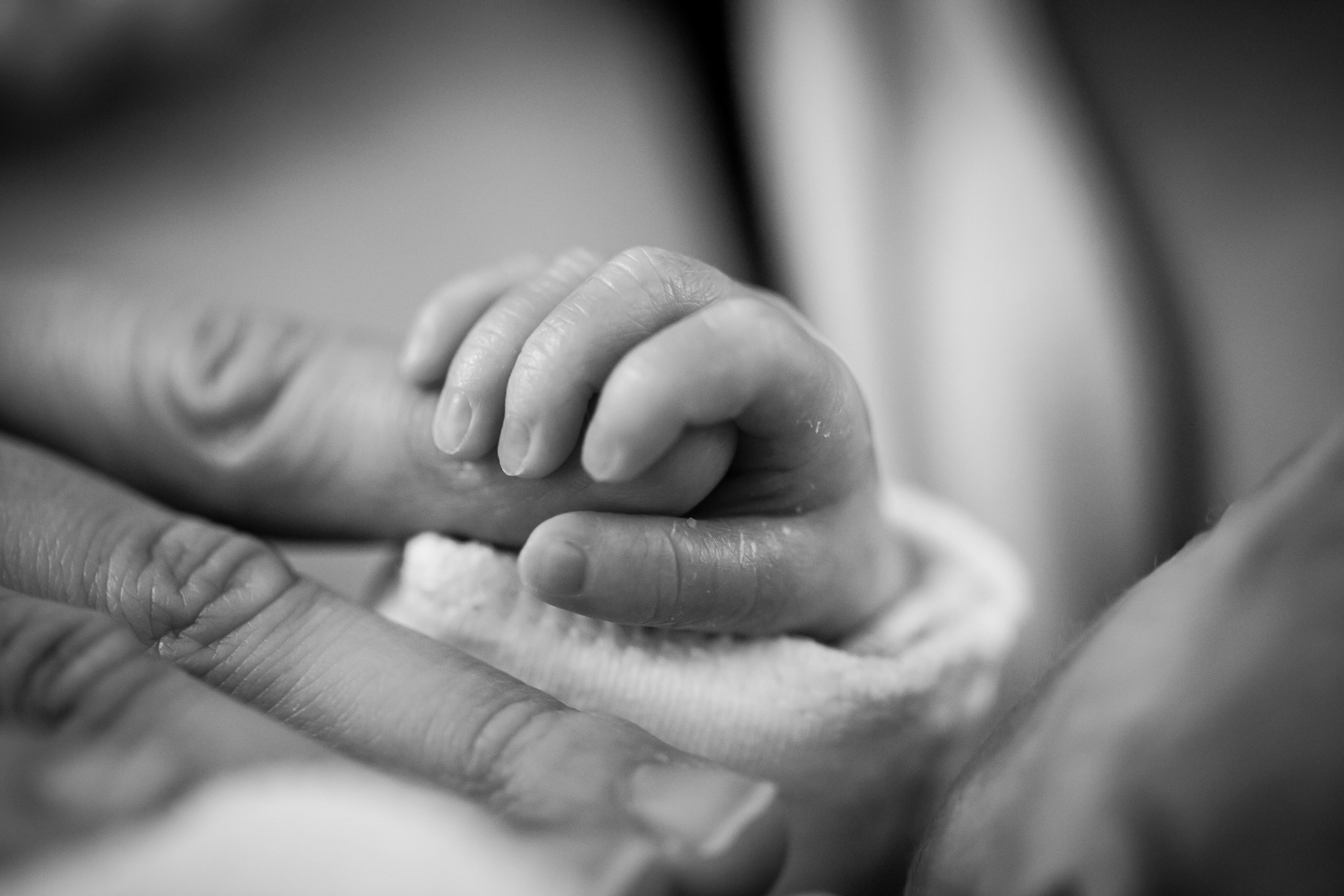 Liten bebis håller i en vuxen i fingret